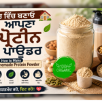 ਘਰ ਵਿੱਚ ਬਣਾਇਆ ਗਿਆ ਕੁਦਰਤੀ ਪ੍ਰੋਟੀਨ ਪਾਊਡਰ Punjabi recipe